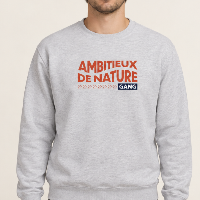 Nouveau modèle // Crewneck - Gris pâle - Ambitieux de nature