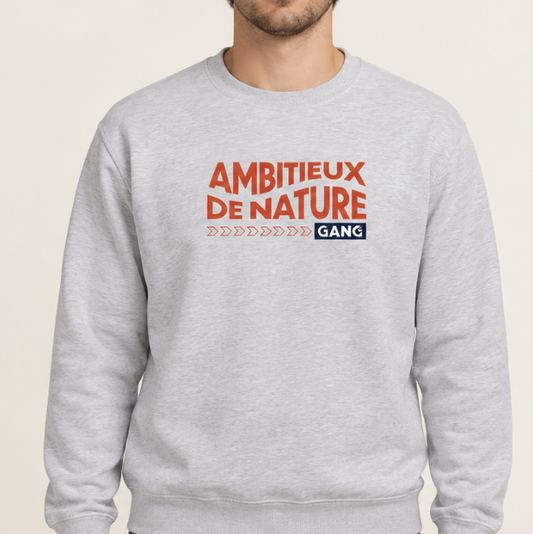 Nouveau modèle // Crewneck - Gris pâle - Ambitieux de nature