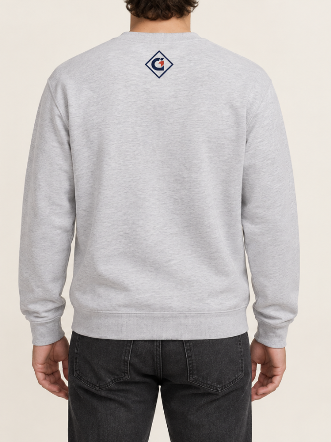 Nouveau modèle // Crewneck - Gris pâle - Ambitieux de nature