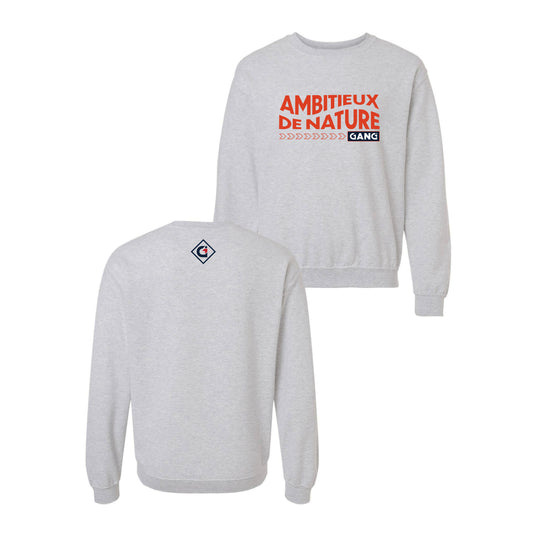Nouveau modèle // Crewneck - Gris pâle - Ambitieux de nature